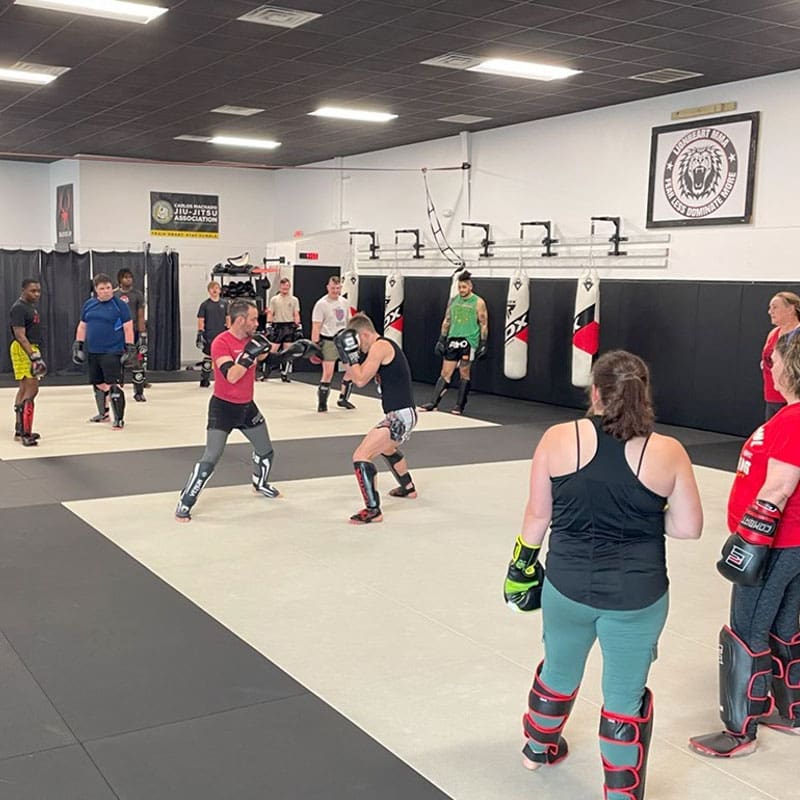 Adult Kickboxing Classes | Lionheart MMA and Fitness